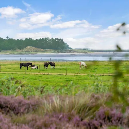 0262-romo-lyngvejen-67 * Rømø Kirkeby